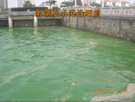 岳陽南湖水域污染藍藻爆發治理項目